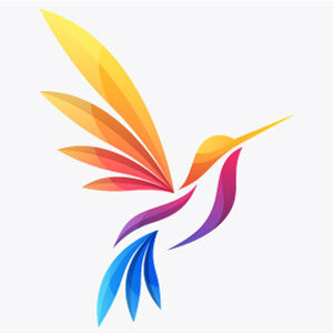 abstract-humming-bird-colorful-logo