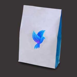 paper-bag-mock-up-with-logo