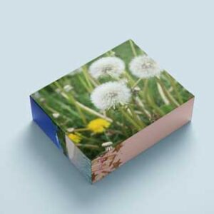 colorful-cuboid-box-mock-up
