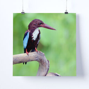 square-hanging-poster-mock-up
