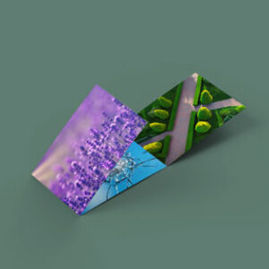 3-fold-brochure-mock-up