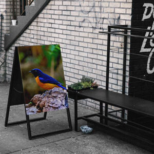 stand-mock-up-with-bird-sparrow
