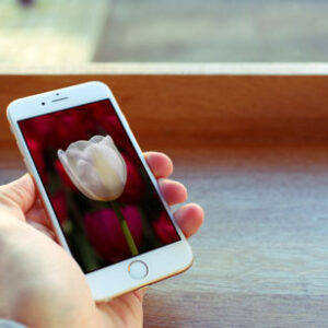 hand-i-phone-mock-up