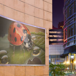wall-poster-billboard-mock-up