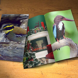 paper-mock-up-bi-fold