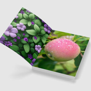 open-book-mock-up