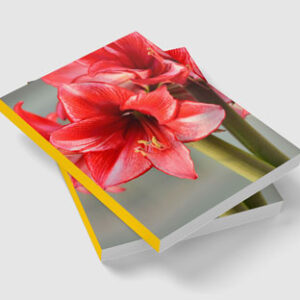 two-piece-book-mock-up