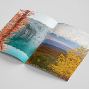 a4-rectangle-brochure-mockup