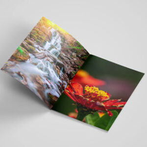 a4-scenery-brochure-mockup