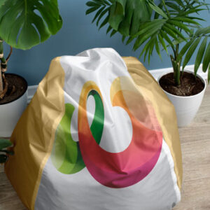 bean-bag-puff-seat-in-room
